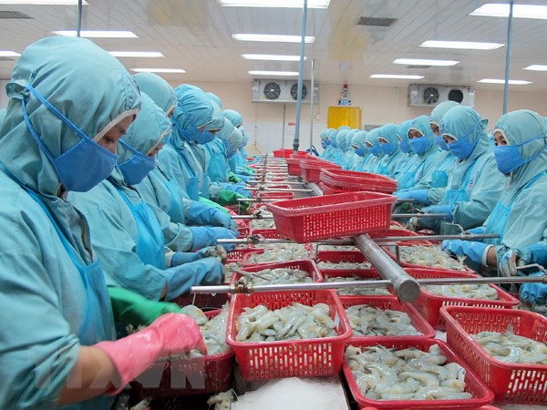 mũ vải thủy sản