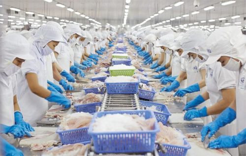 nón trùm đầu thủy sản